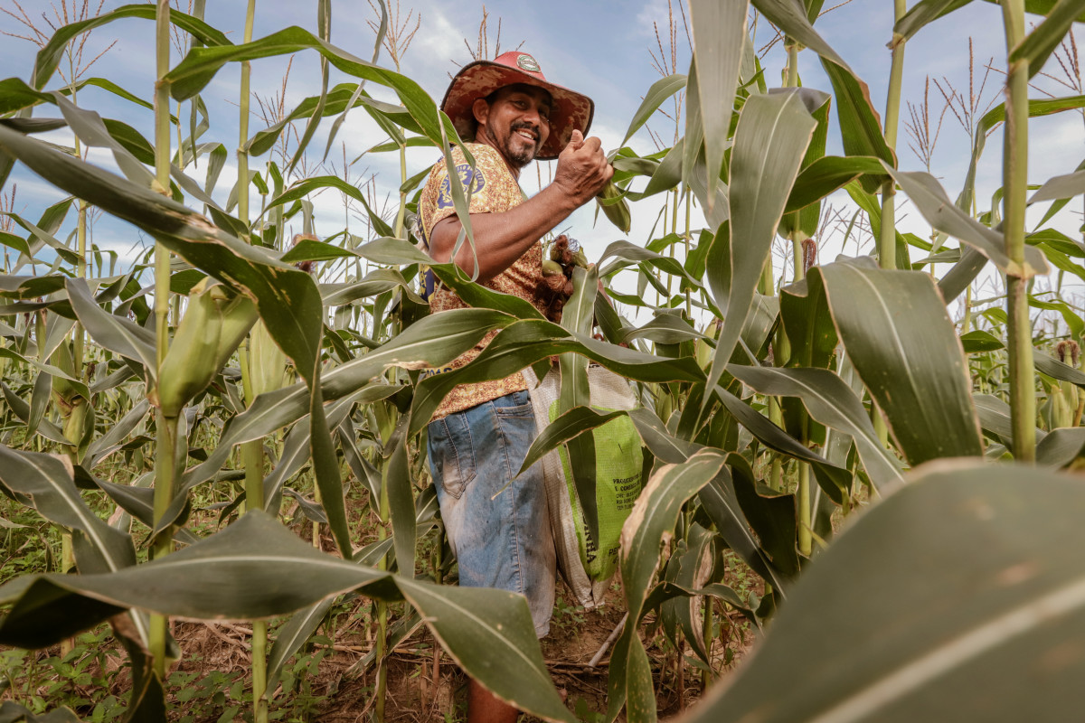 Produtor rural contribui para o fortalecimento da produção e mercado consumidor em Porto Velho