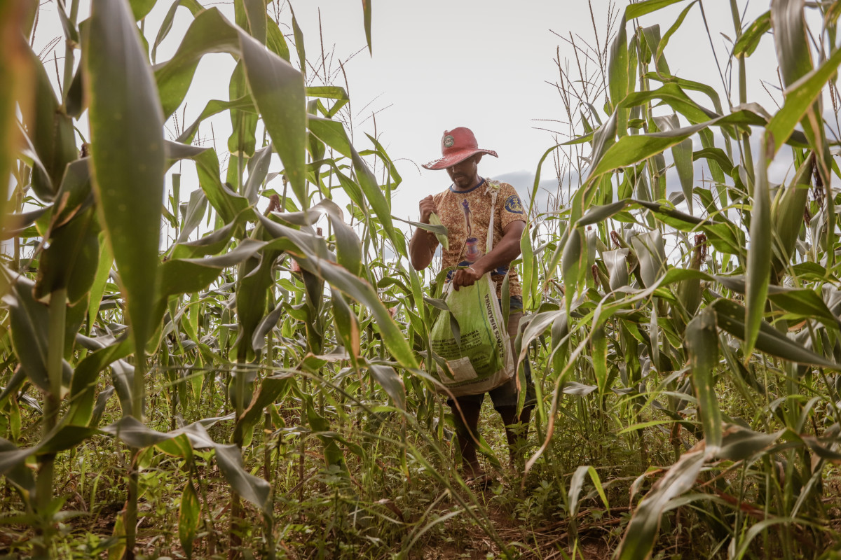 Produtor rural contribui para o fortalecimento da produção e mercado consumidor em Porto Velho