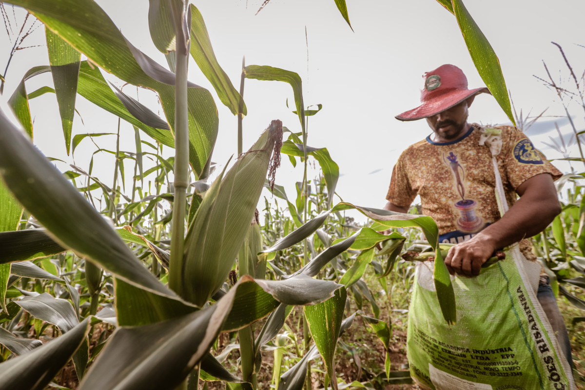 Produtor rural contribui para o fortalecimento da produção e mercado consumidor em Porto Velho
