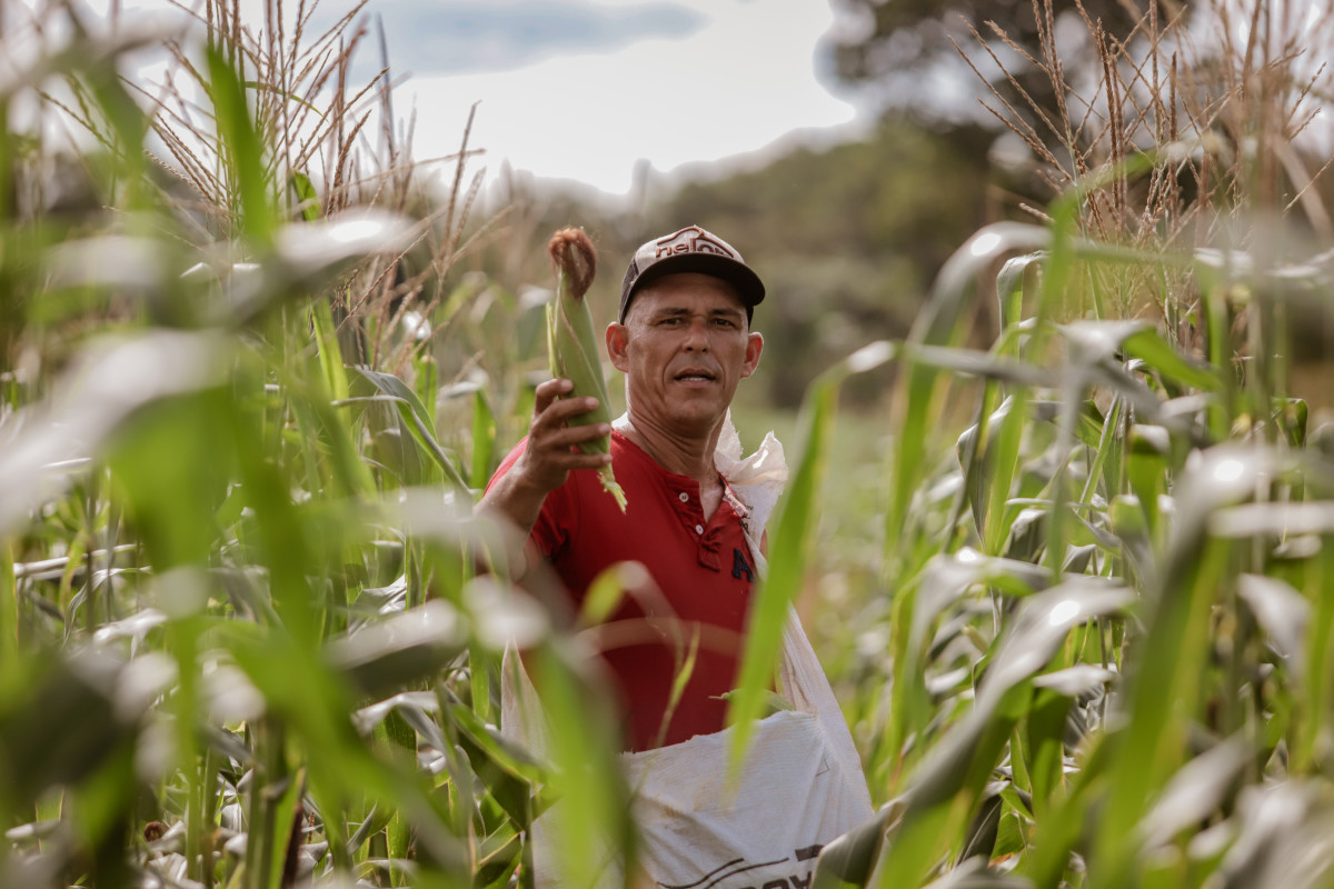 Produtor rural contribui para o fortalecimento da produção e mercado consumidor em Porto Velho
