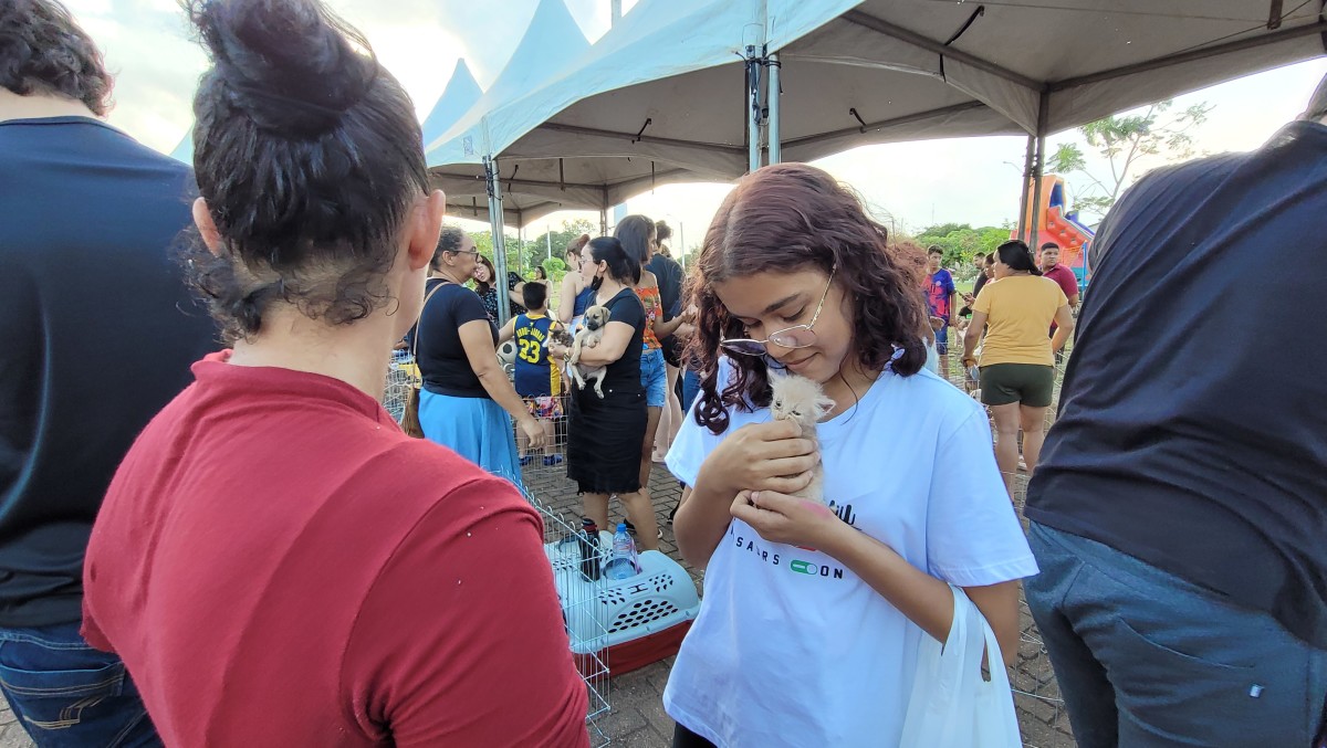 3ª Feira de Adoção de Animais proporciona novos lares a cães e gatos em Porto Velho
