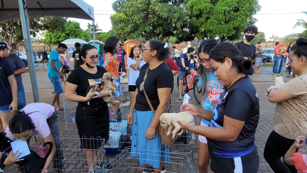 3ª Feira de Adoção de Animais proporciona novos lares a cães e gatos em Porto Velho
