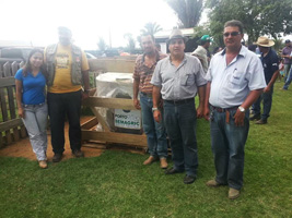 Tanque bandeirantes 267 px 02