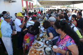Populacao idosa 267px 02