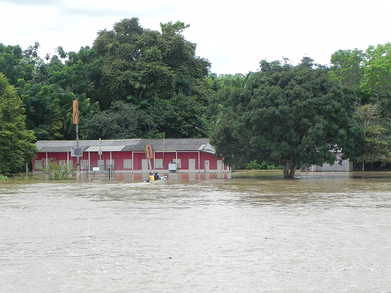 Retirada saocarlos 800px 03