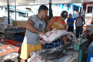Caminho_Peixe_site_3