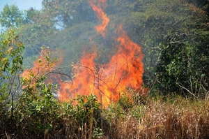 Sema_-_Campo_Novo_-_site_3