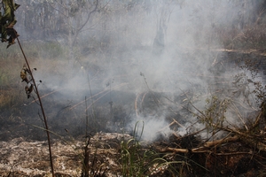 Sema_-_Campo_Novo_-_site_5