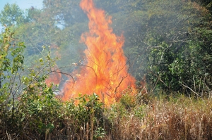 Sema_-_Campo_Novo_-_site_6