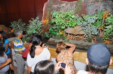 Visitao_Presepio_11
