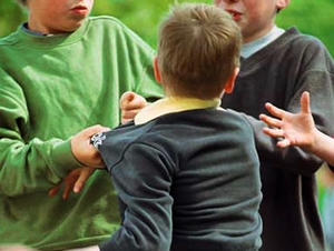 Bulling_-_Semed_-_site_2