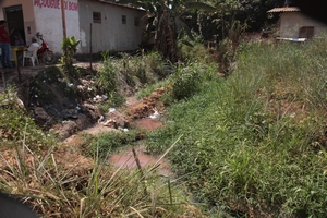 Reveste_-_Canais_site_4