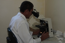 laboramunicids