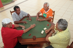 IMG 4037