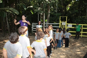 parquea